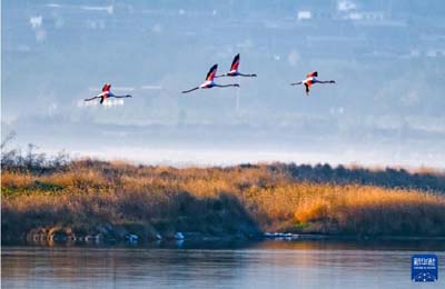  初冬時(shí)節(jié)，神州大地開啟“美顏”模式  